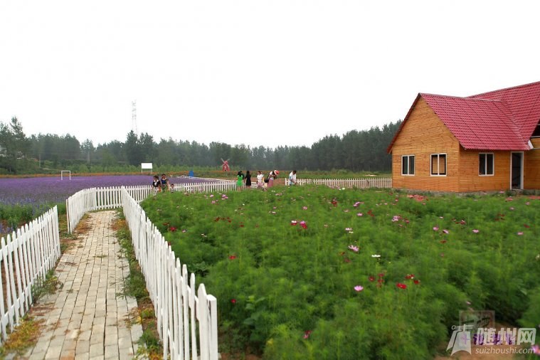 ԐSֻҵhometown