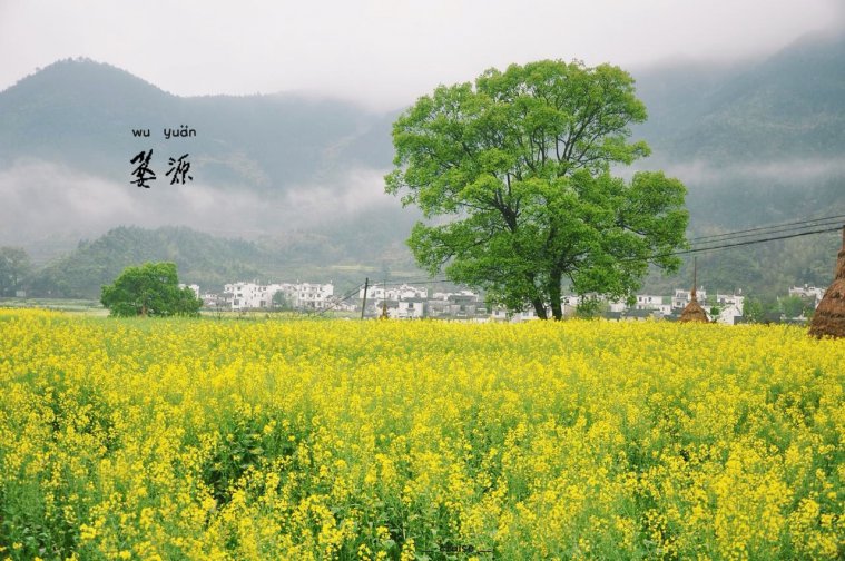 ȥSݾW(wng)f(wn)_(d)º(xin)㿴黨