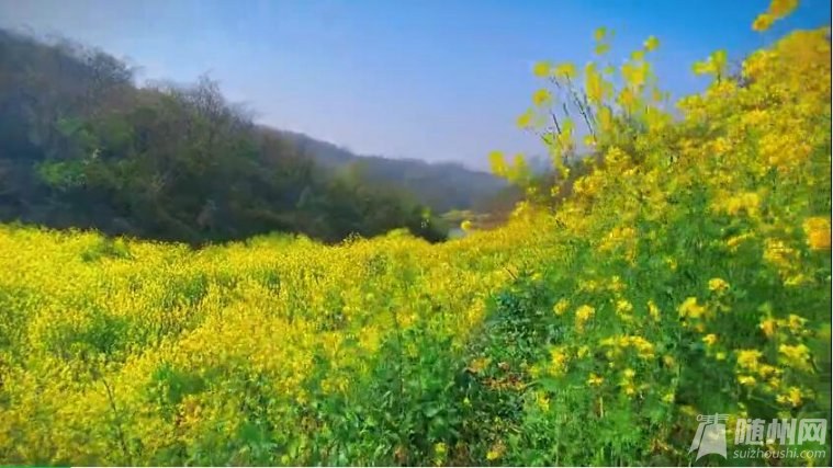 @GSݴȫpDbRϳl(f)